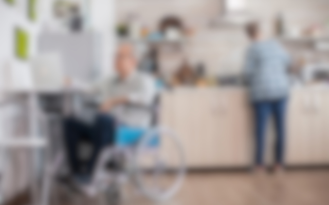 day-program-category